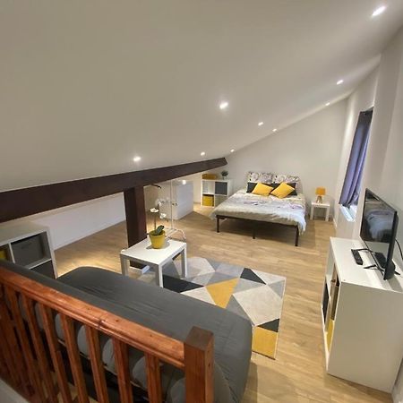 Studio Renove Proche Palais Des Sports Гренобль Экстерьер фото