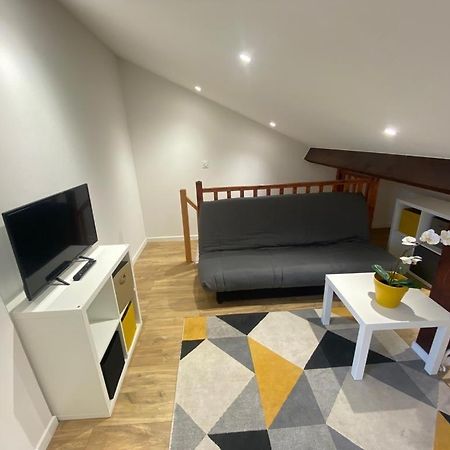 Studio Renove Proche Palais Des Sports Гренобль Экстерьер фото